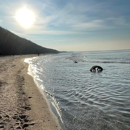 Riviera Z Tarasem Apartment Poddąbie