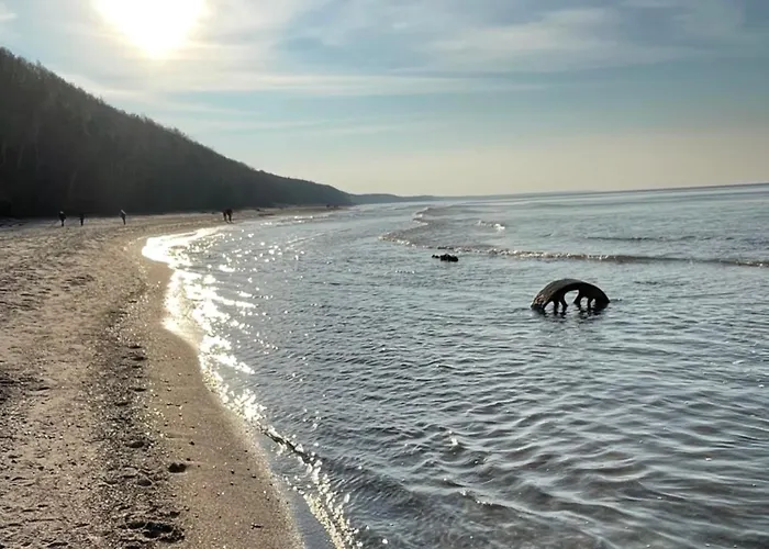 Riviera Z Tarasem 公寓 Poddąbie