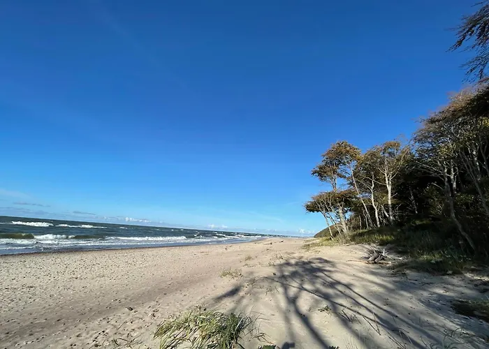 Riviera Z Tarasem * Poddąbie